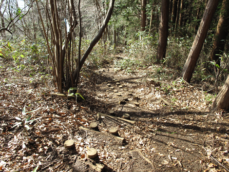 20161229hike (214)
